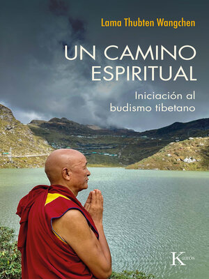 cover image of Un camino espiritual